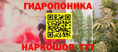 Альфа ПВП Ярославль